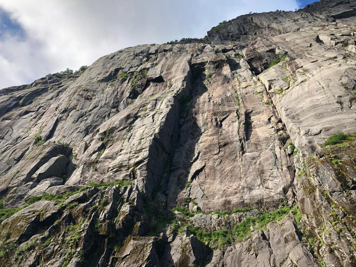 Lofoten And Vesteralen Kveldro Myrland Extérieur photo