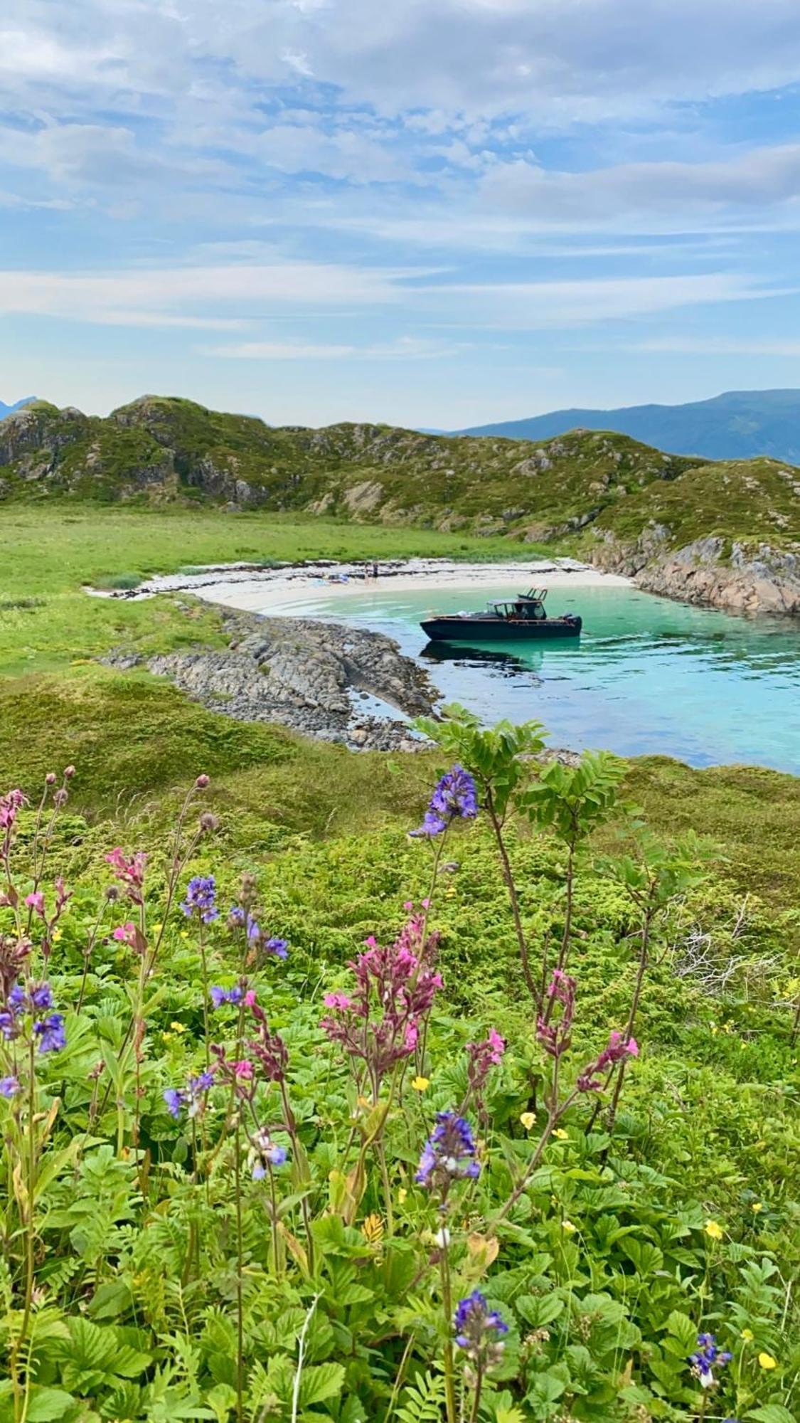 Lofoten And Vesteralen Kveldro Myrland Extérieur photo